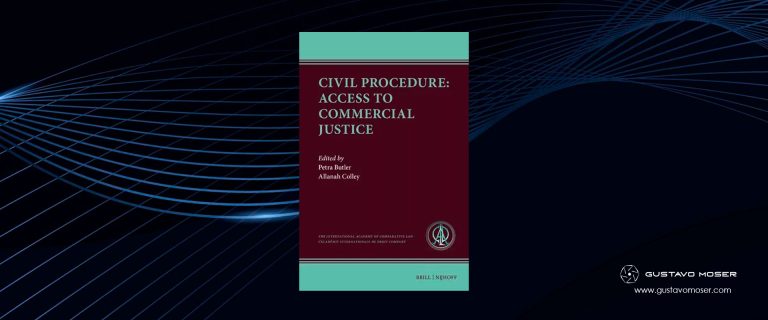 Chapter 3: An Overview of Access to Justice in Brazil